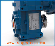 shaft mounting gear drive